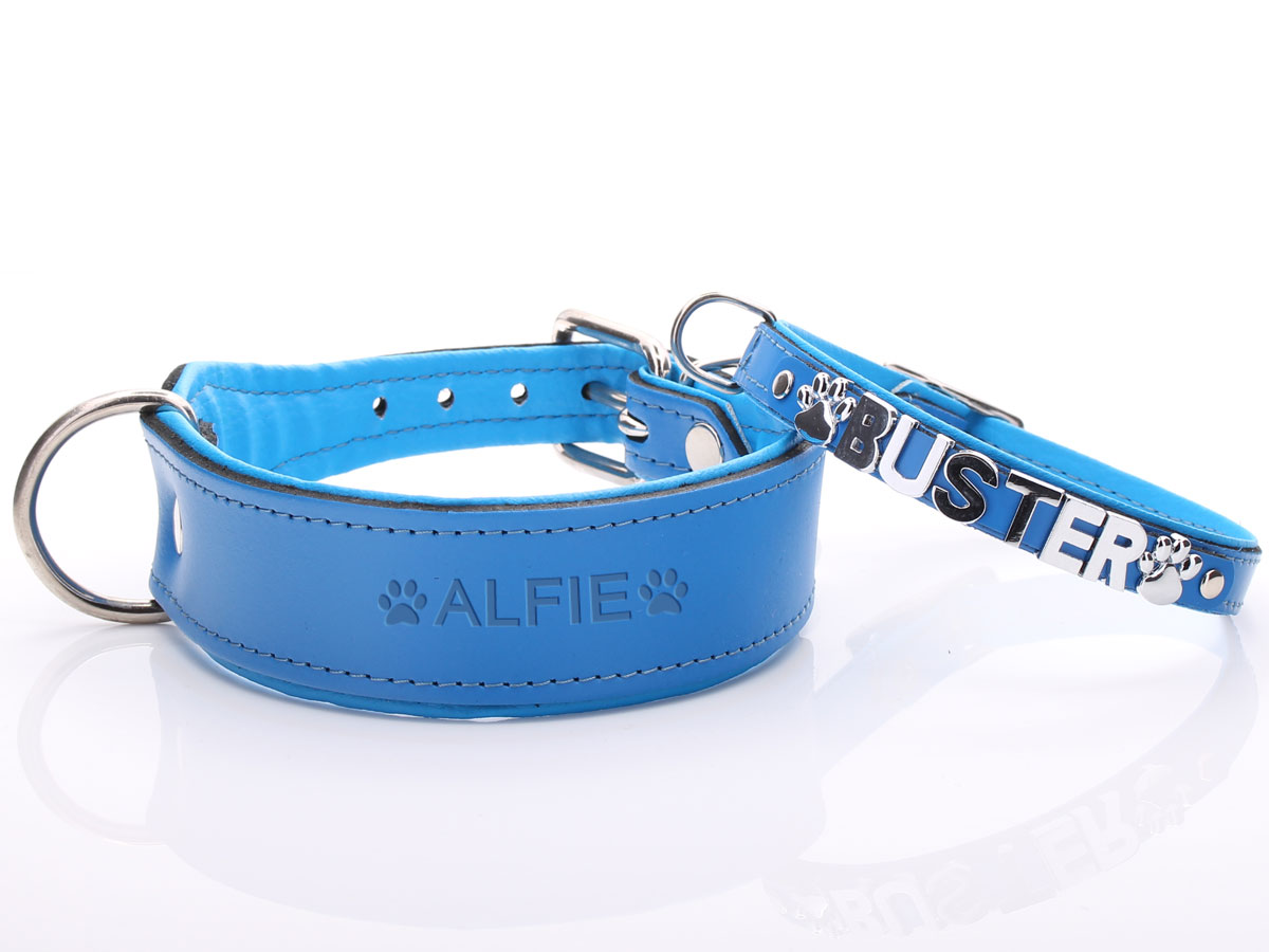 Custom Blue Leather Dog Collar with Blue Padding