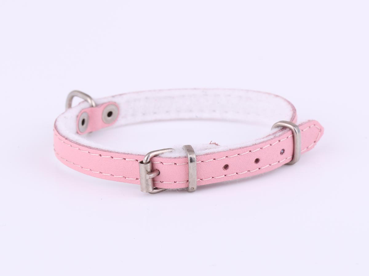 light pink dog collar