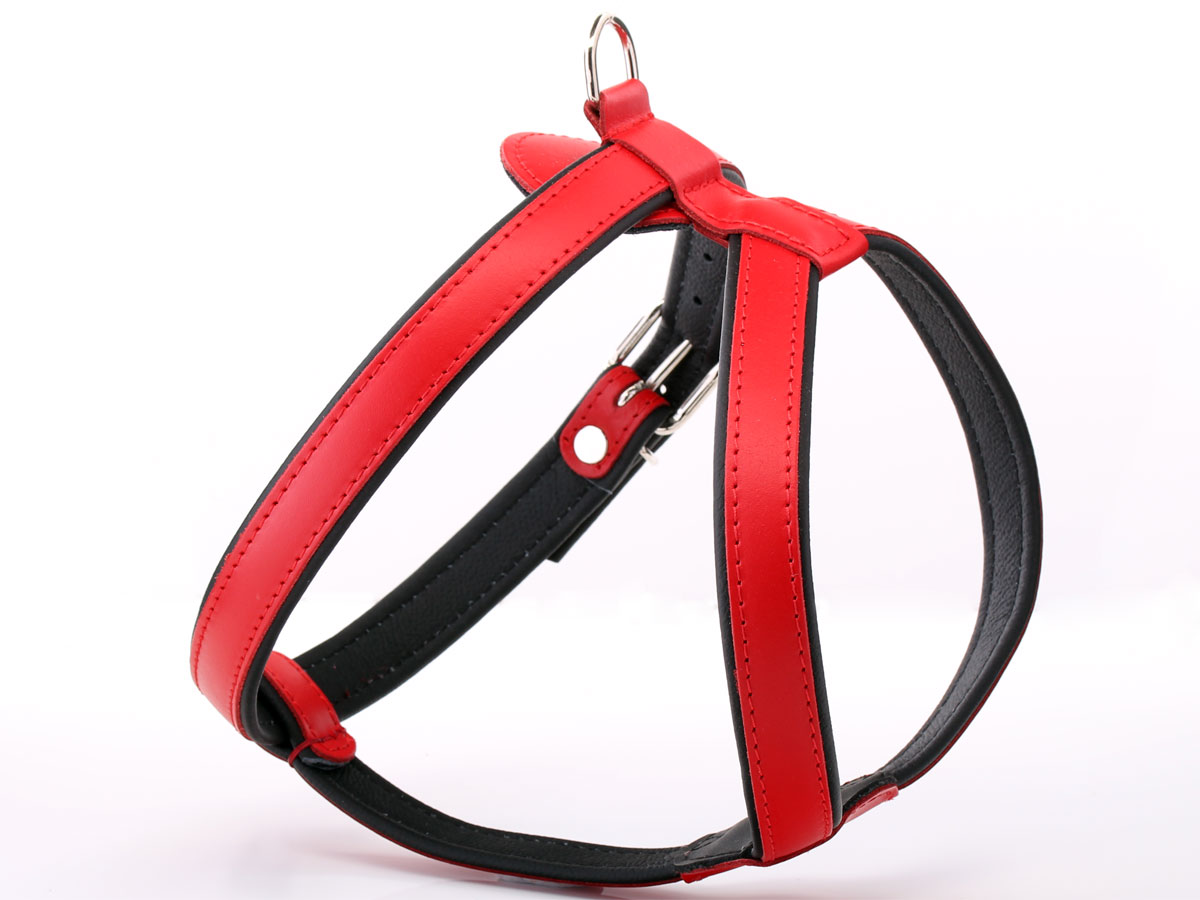 Padded Red Leather Dog Harness