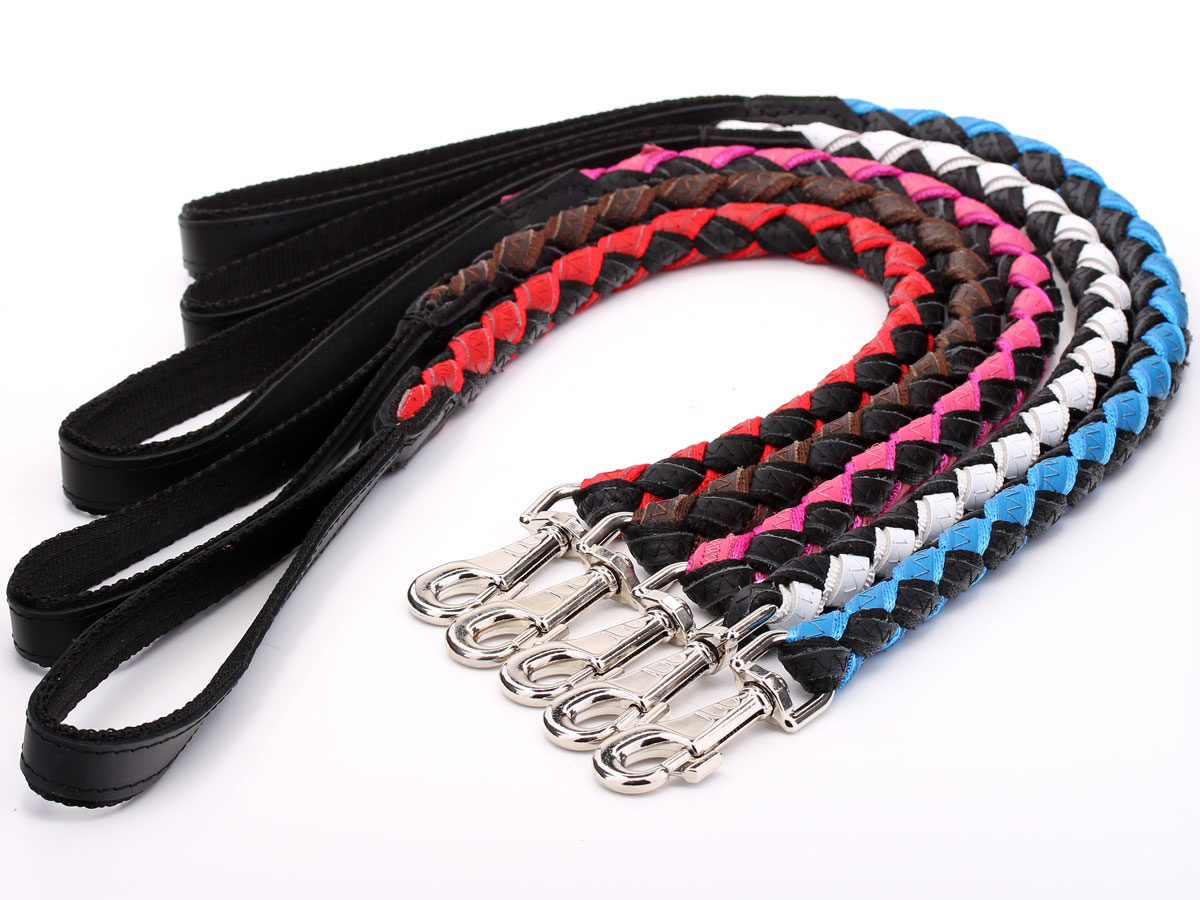 Braided Leather Dog Lead assorted colours