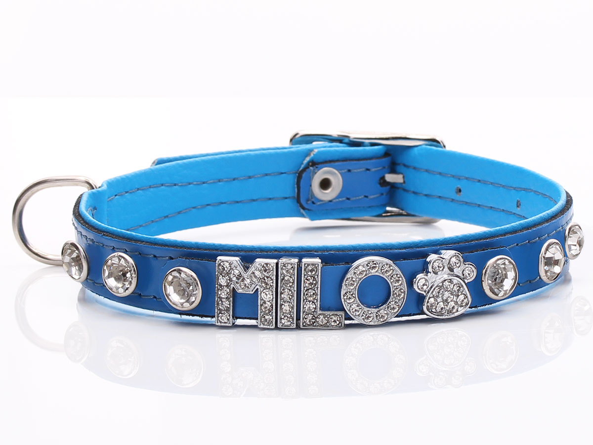 Personalised Electric Blue Bling Diamante Dog Collar Chihuahuas and