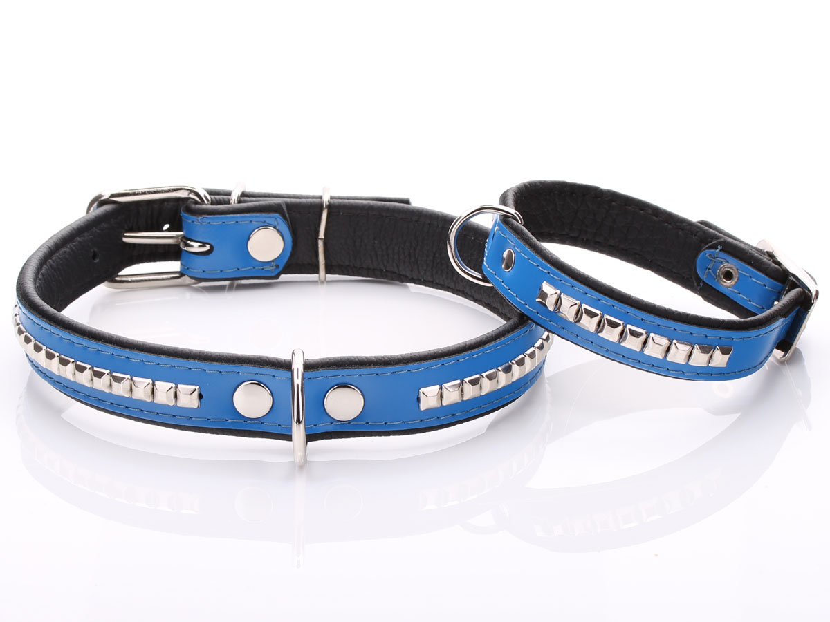 Blue Leather Dog Collar with Metal Hardware