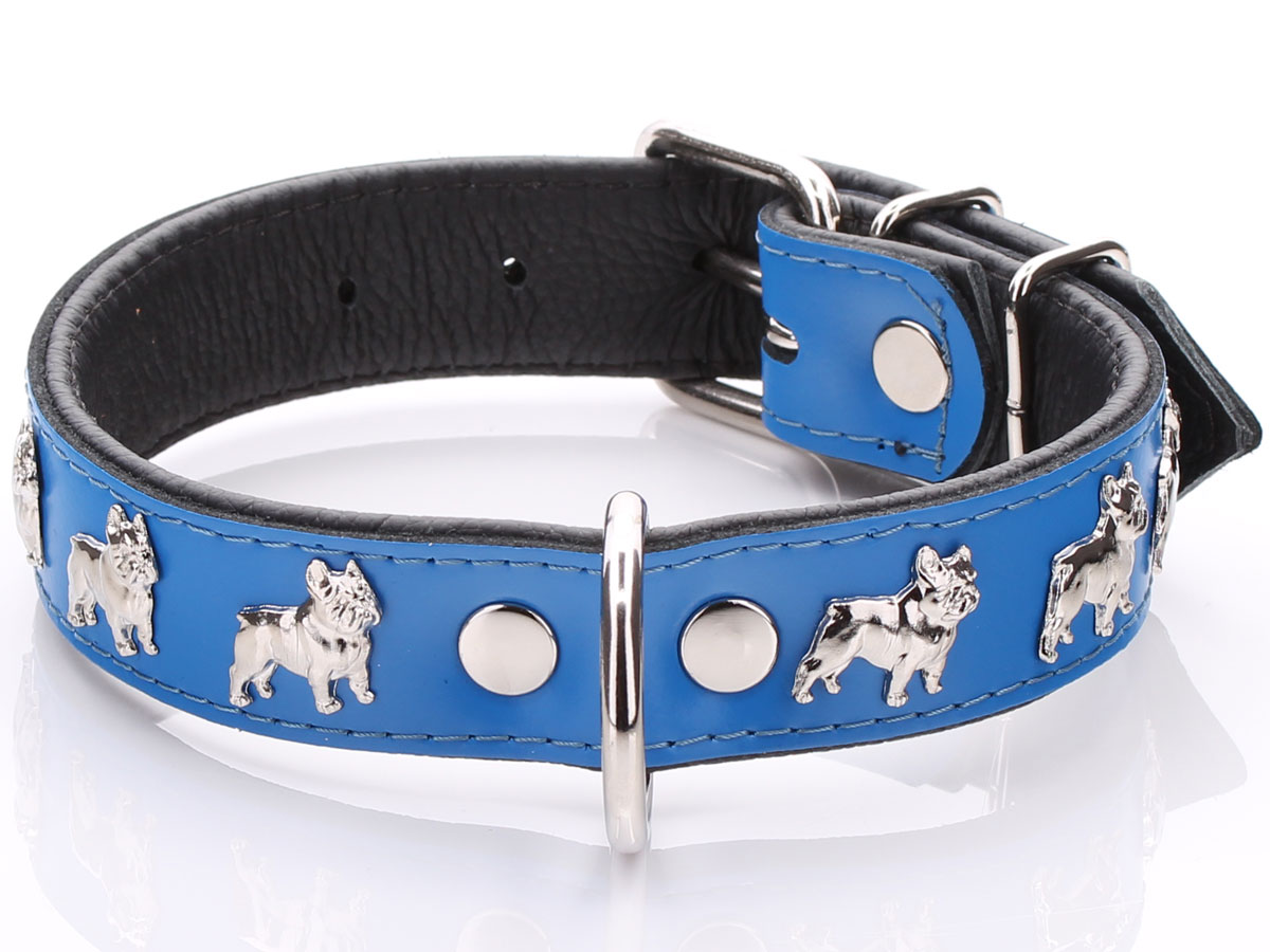 Blue French Bulldog Collar with soft padding