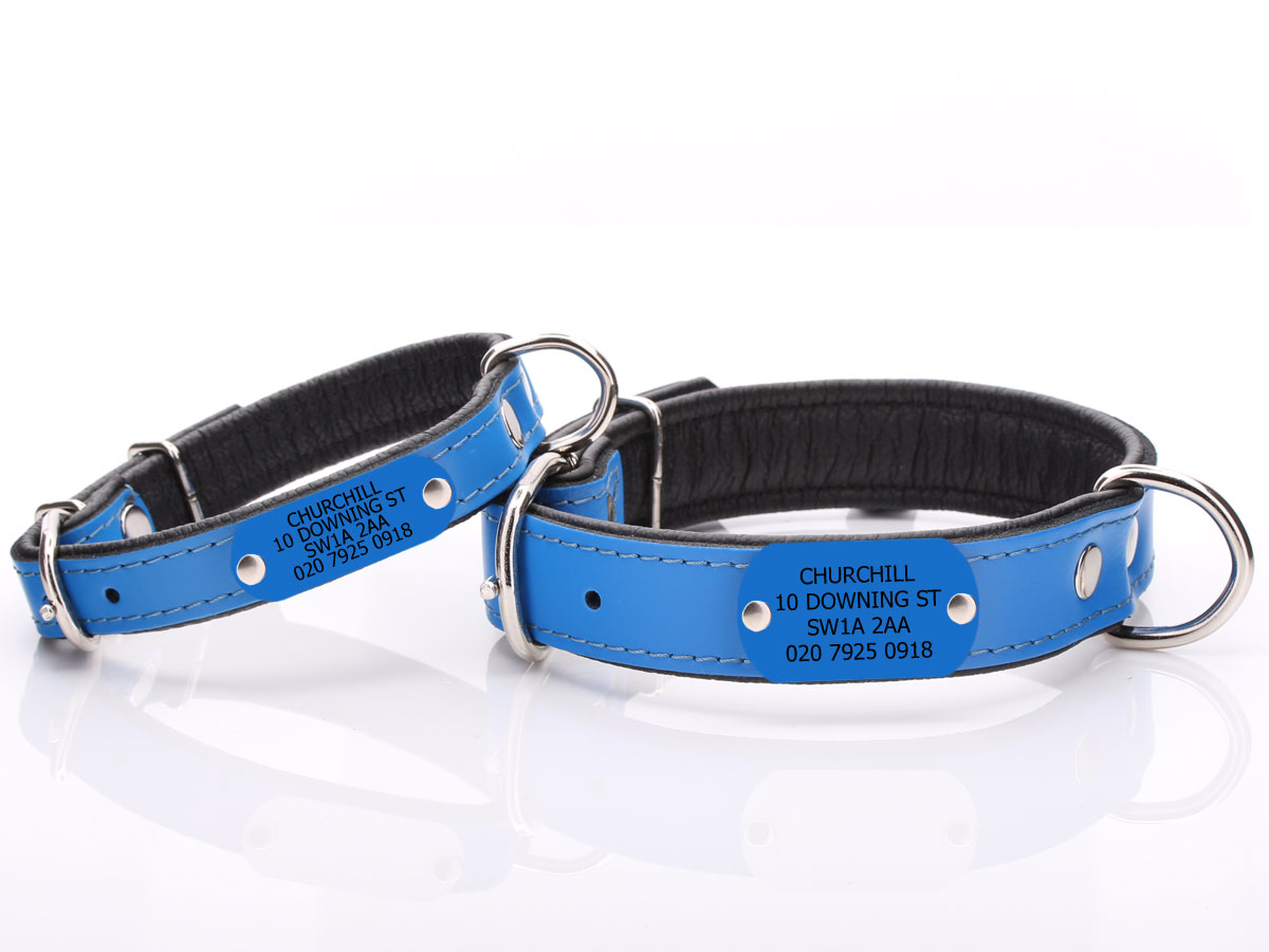 Personalised Dog Collar with Name &amp; Phone Nameplate