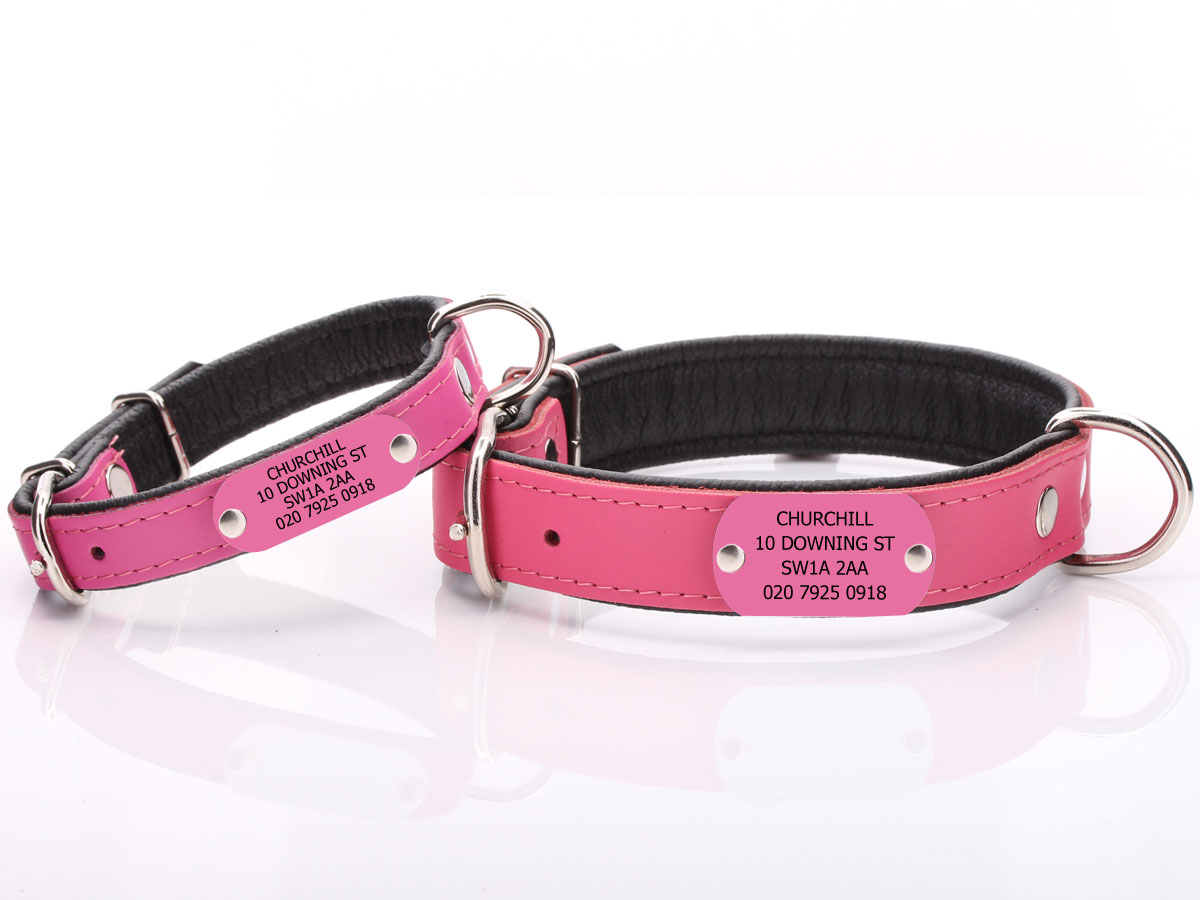 Pink Leather Dog Collar with Attached Dog Tag