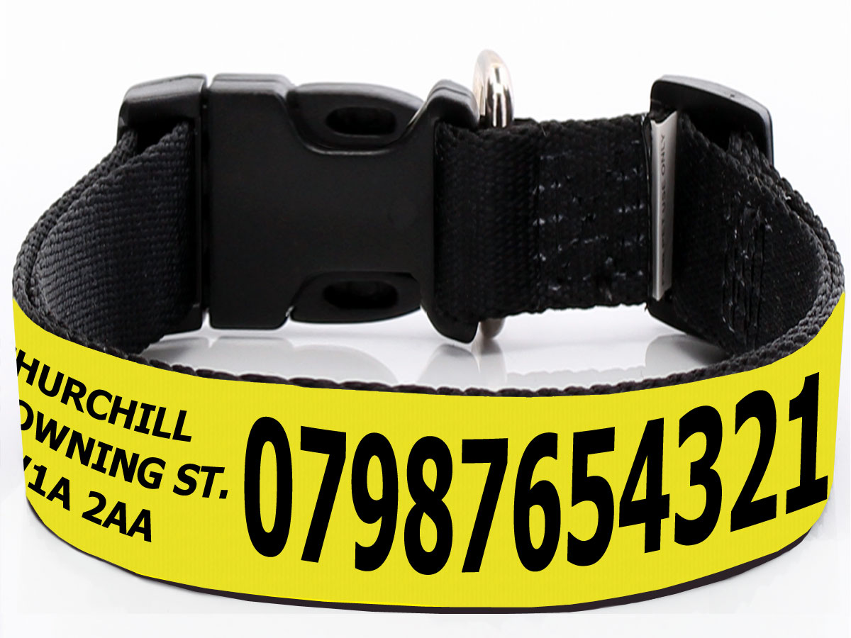 Extra Wide Large Customised Yellow Dog Collar with Phone, Address, Name
