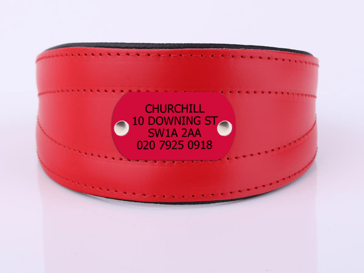Personalised Whippet, Greyhound, Lurcher Collar with Nameplate Red