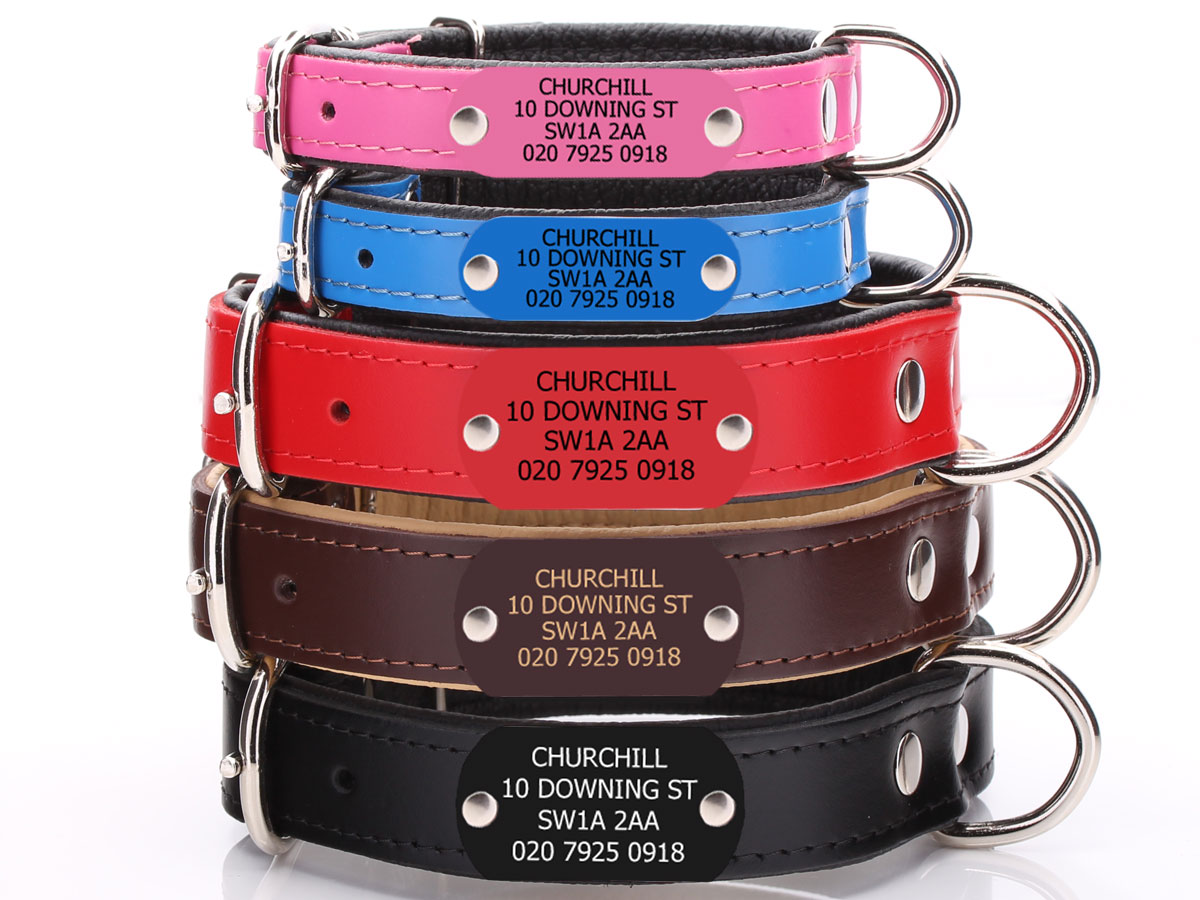 Personalised Leather Dog Collar With Name Tag Built In