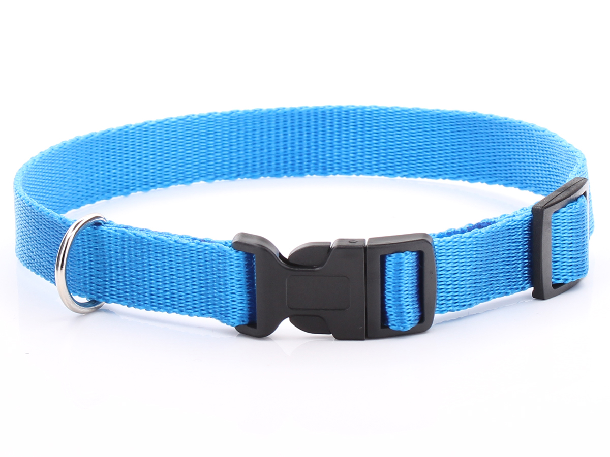 Adjustable Blue Dog Collar Nylon bing