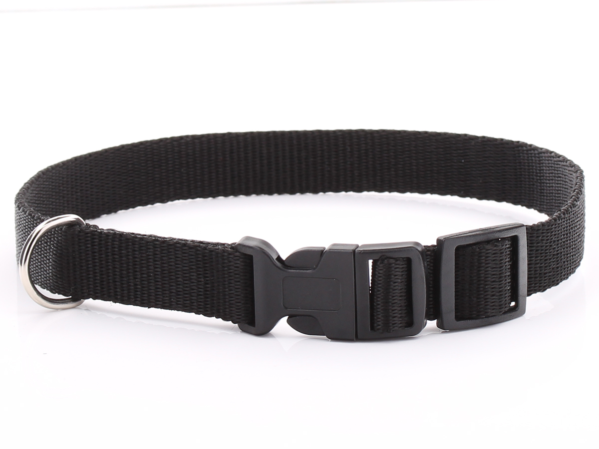 Adjustable Black Dog Collar Nylon Webbing