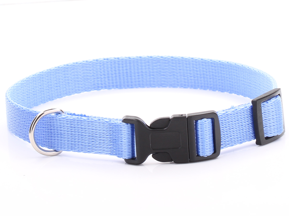 Adjustable Baby Blue Dog Collar Nylon bing