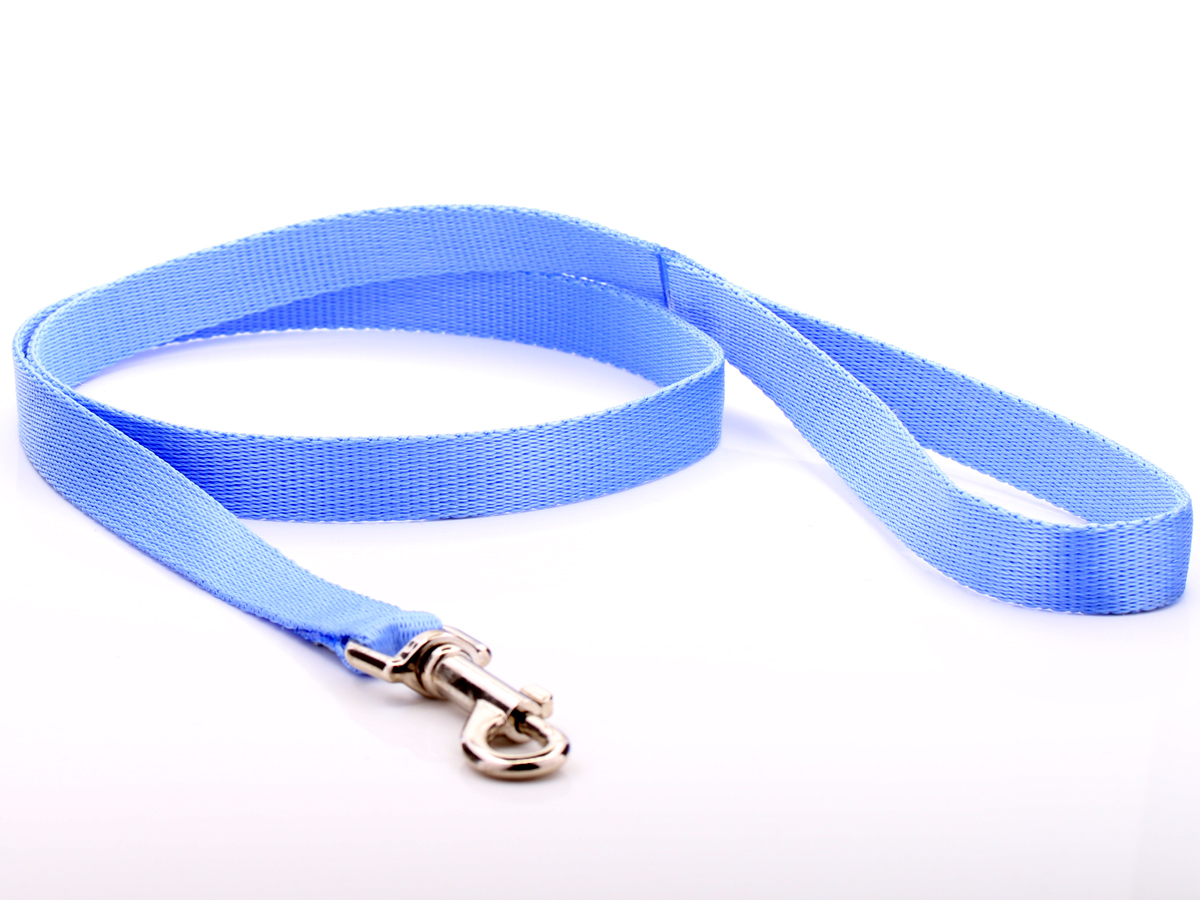 Baby Blue Nylon Dog Lead