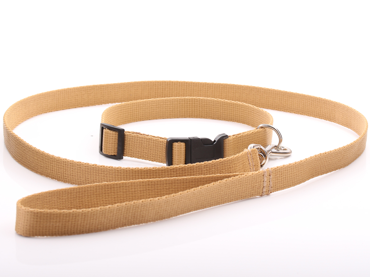 Beige Nylon Dog Collar & Lead Set