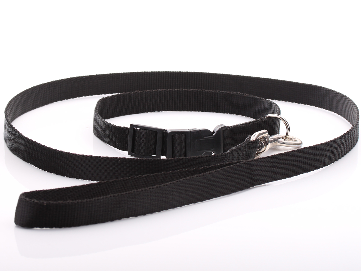 Black Nylon Dog Collar & Lead Set