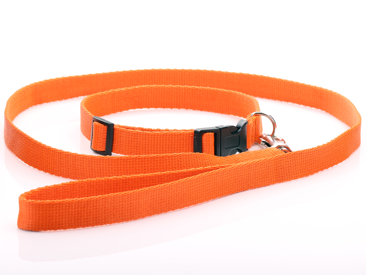 Orange Nylon Dog Collar & Lead Set