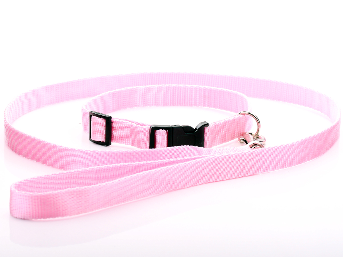 Pink Nylon Dog Collar & Lead Set
