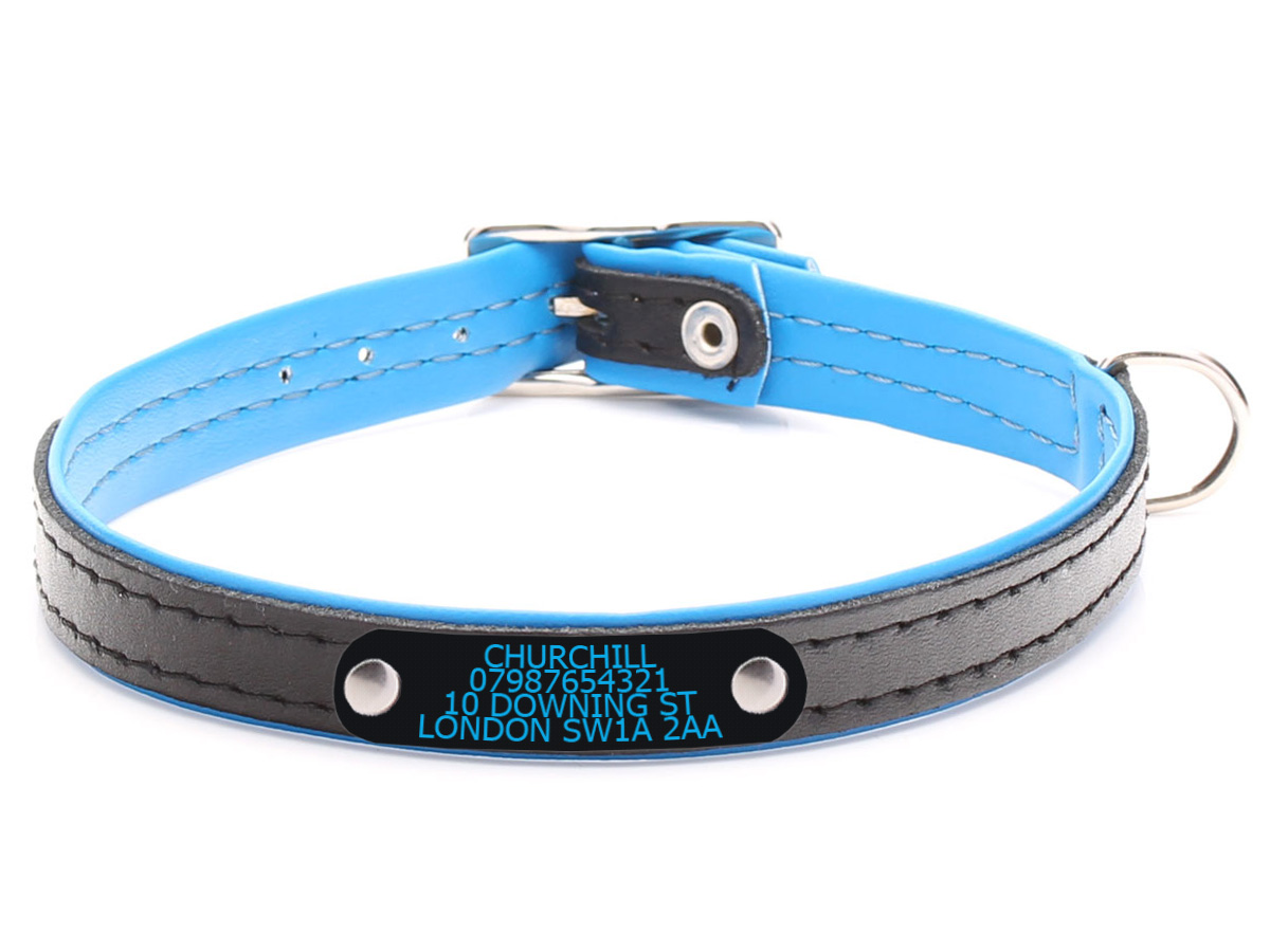 Black & Blue Leather Dog Collar with Nameplate Customised with phone