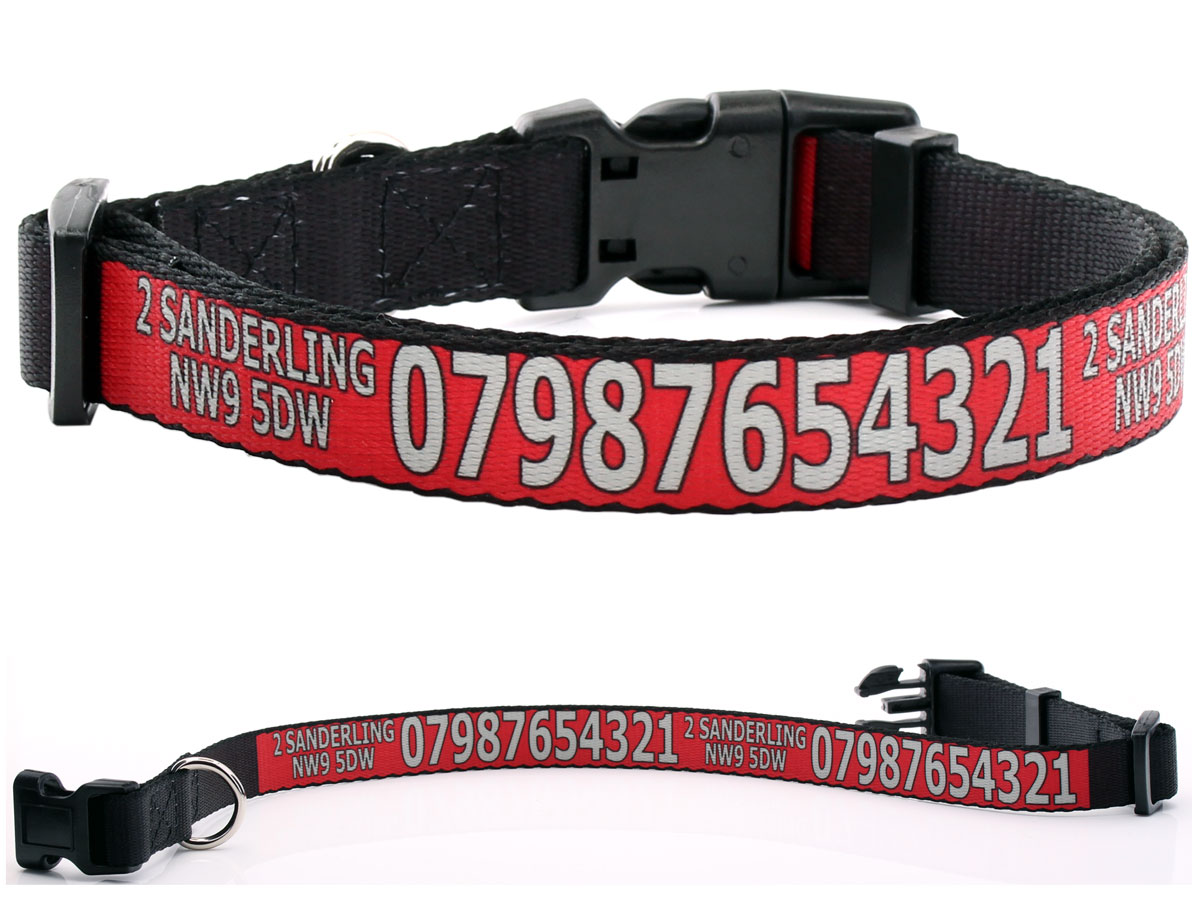 Customised Red ID Dog Collar with Printed Number
