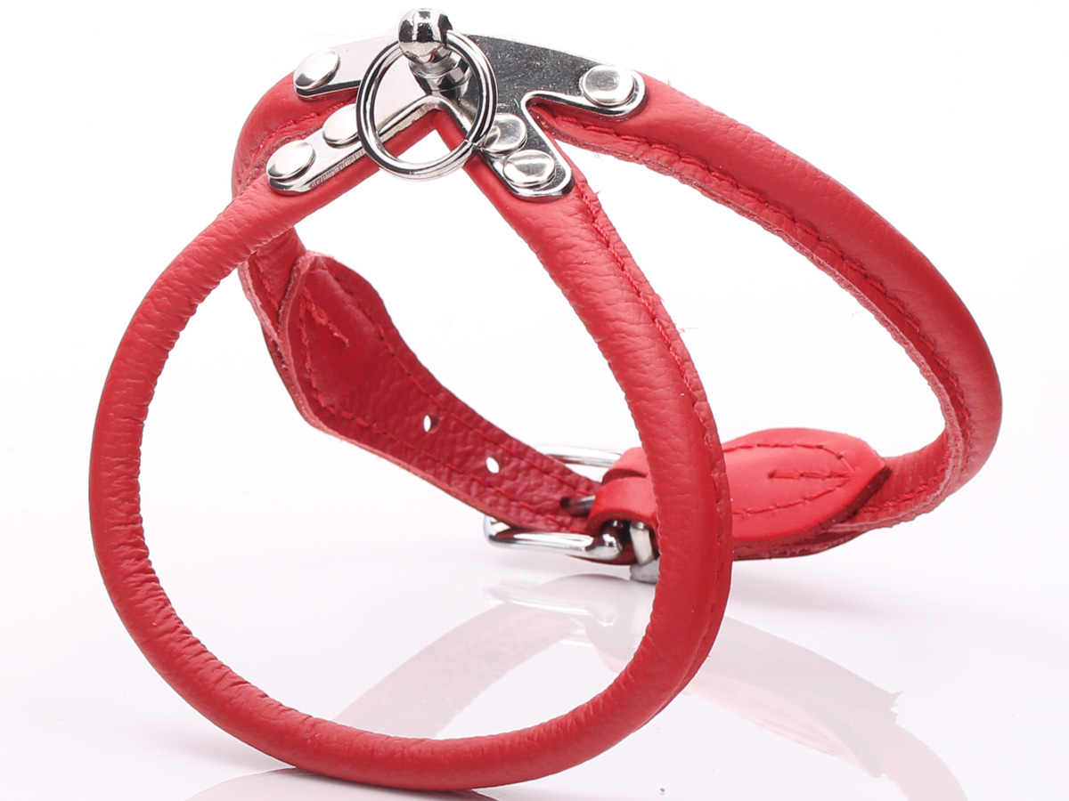 Red Rolled Leather Dog Harness