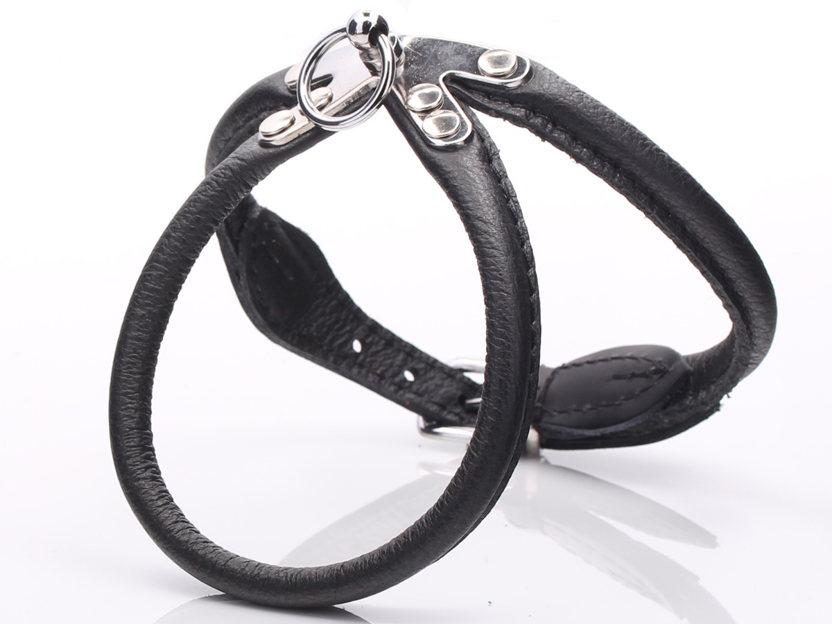 Black Rolled Leather Dog Harness