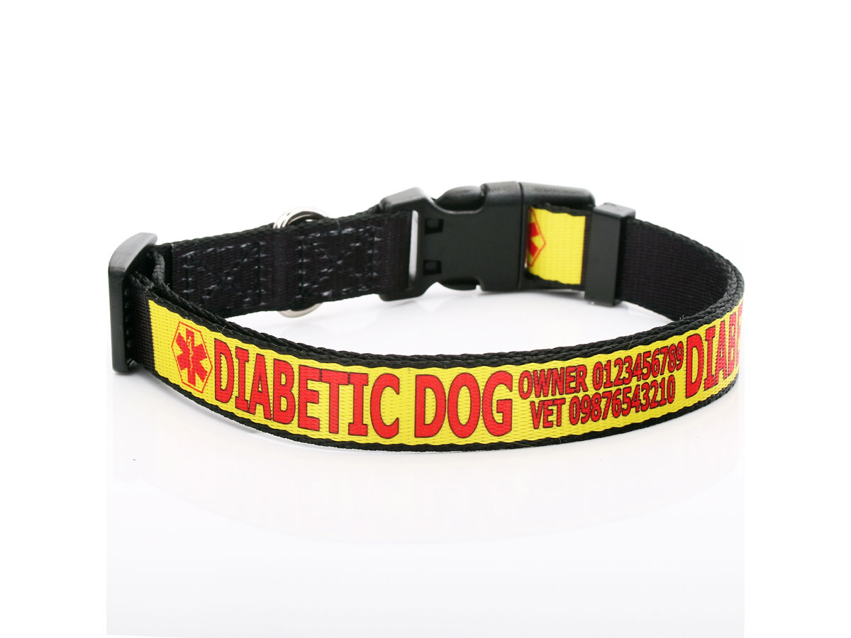 Medical Alert Dog Collar ANY TEXT Diabetic, Blind, Epileptic