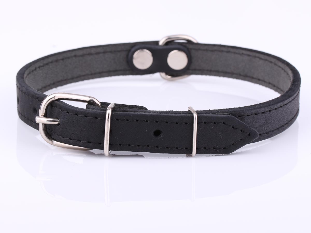 Black Leather Dog Collar with Buckle